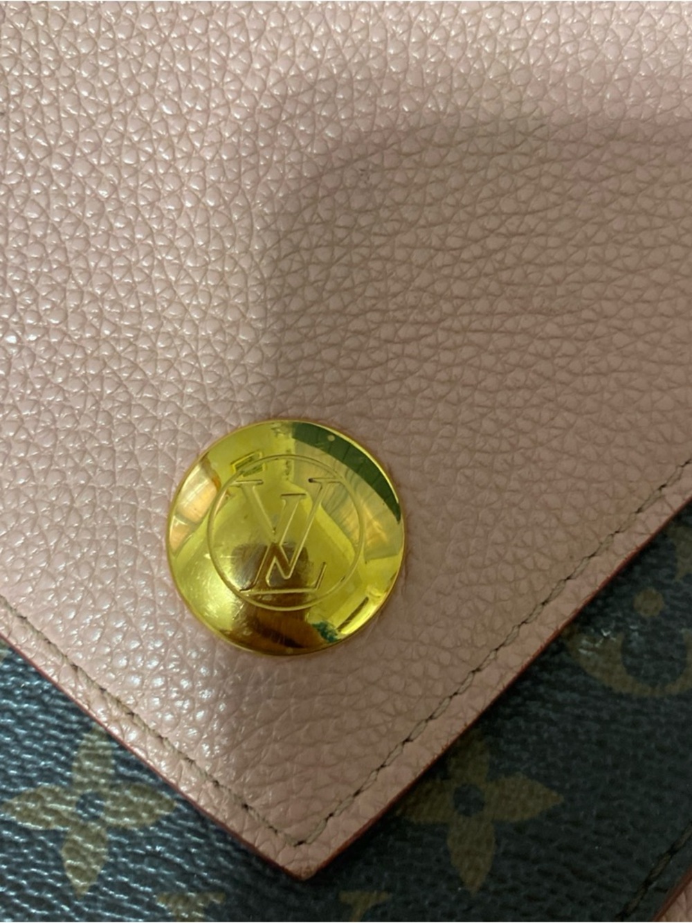 Louis Vuitton Rose Ballerine Leather and Monogram Coated Canvas Double V Bag - Picture 4 of 10